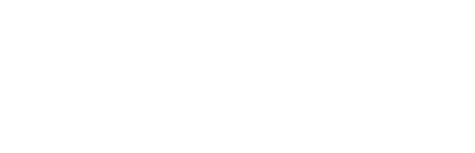 Logo website